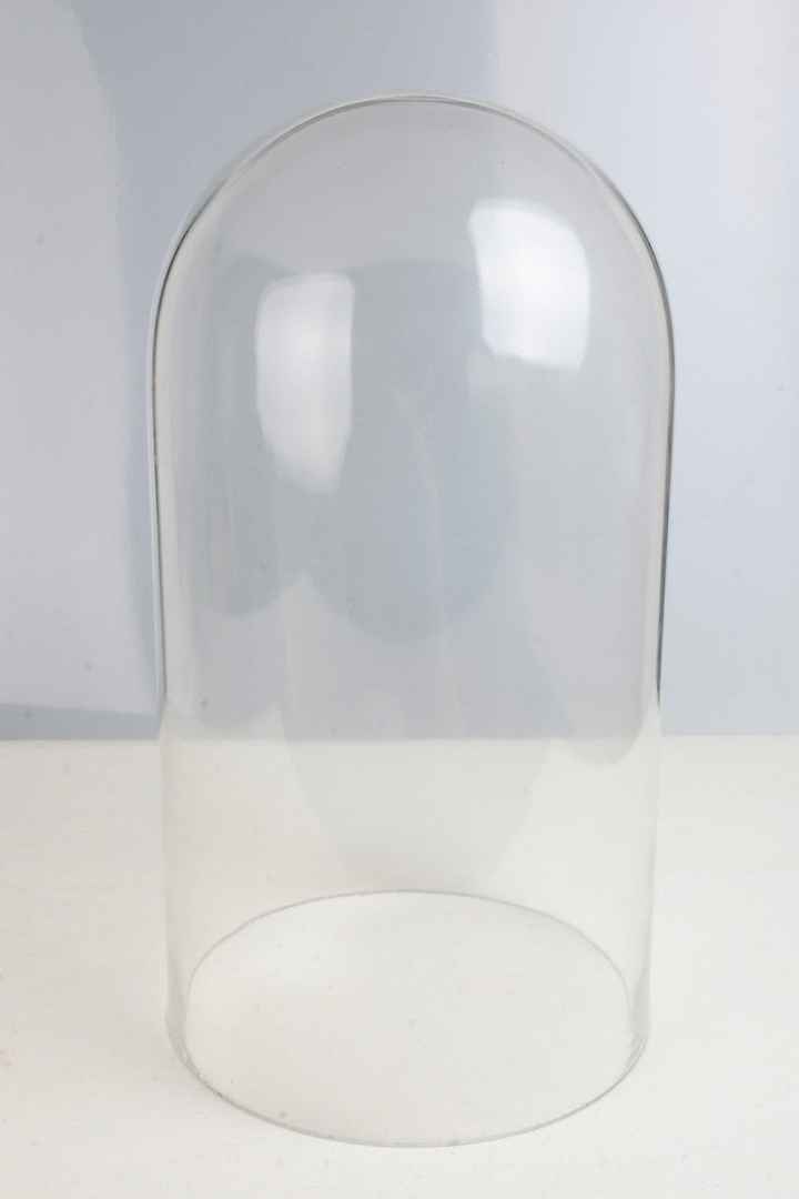 Anyone Know Where I Can Buy Glass Domes?