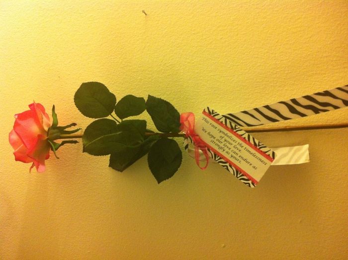 Anniversary Dance Prize- DIY Rose (*PIC)