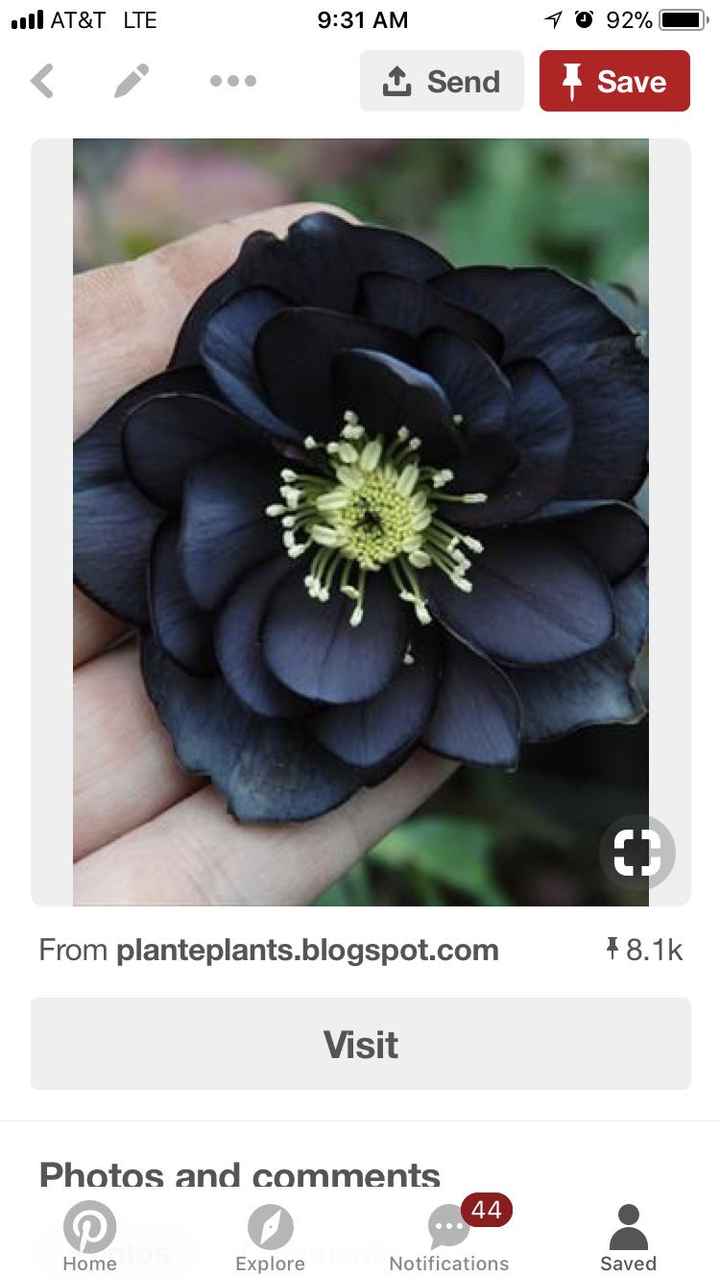 i got my dress and I’m in love with it! But what color flowers?? - 1