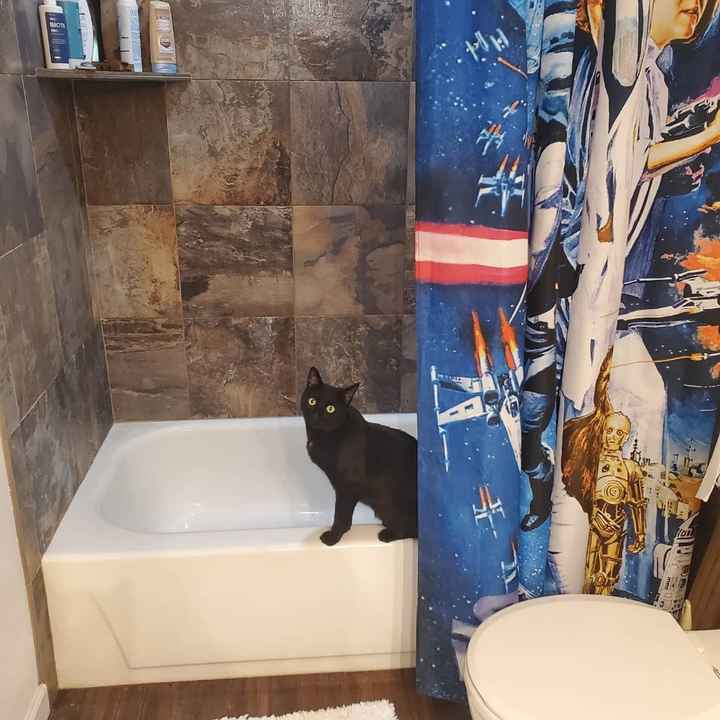 Let’s See Your Fur Babies! - 1