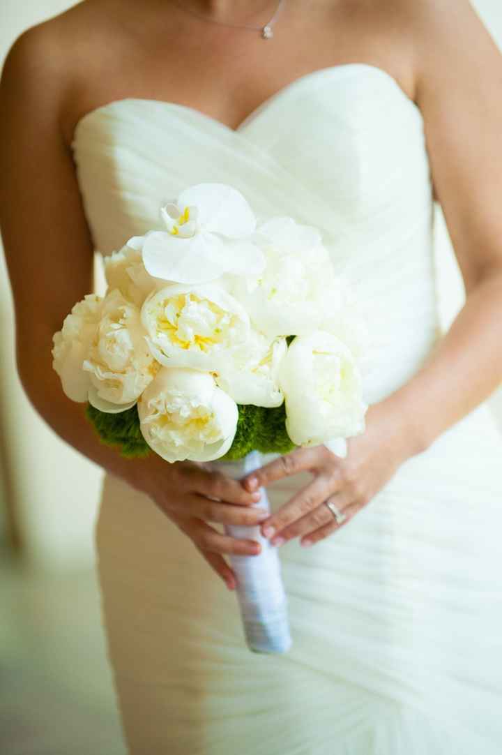 Pro Pics!! (LOTS and more in comments!)