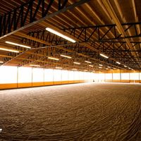 Decorating Large Space