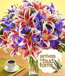 Bored brides.. help me?