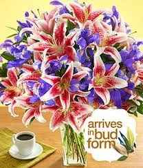 Bored brides.. help me?