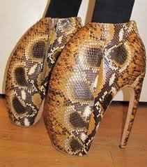 Another Ugly Contest! :-)