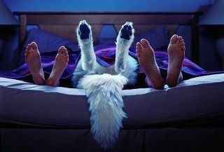 NWR:  My little Stinker