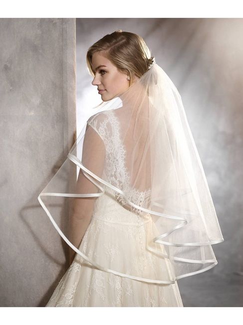 What type of veil with tea length dress? 3