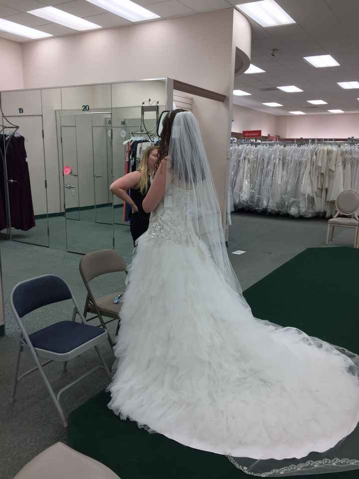 Does Your Dress Have a Train? - 1