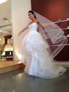 long veil with high low dress #2