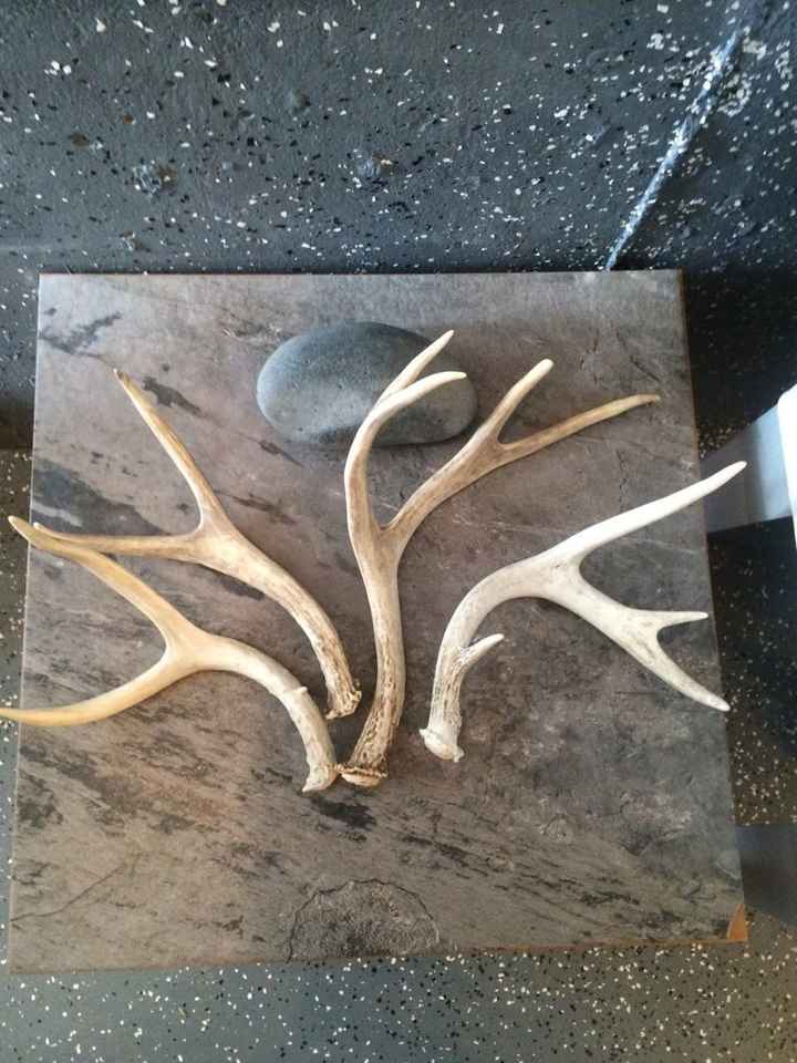 https://www.etsy.com/listing/399958407/craft-antlers-small-medium?gpla=1&gao=1&&utm_source=google&ut