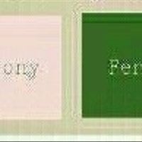 What are your wedding colors??