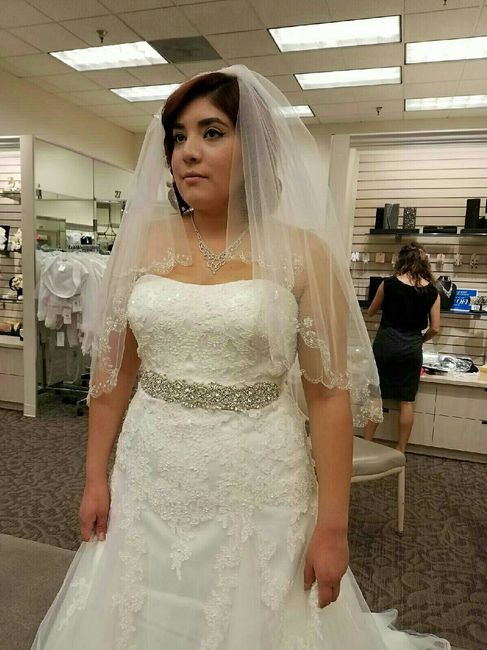 Davids bridal wedding dresses....