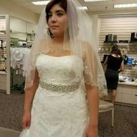 Davids bridal wedding dresses....