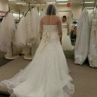 Davids bridal wedding dresses....