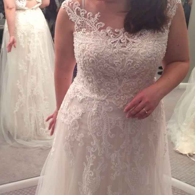 I found my dream dress!