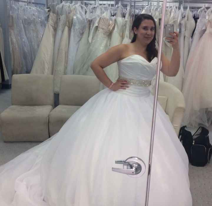 What was the most unique dress you tried on? Pics?