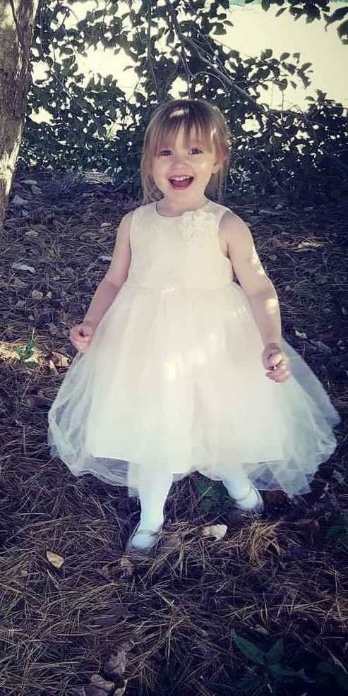 Help finding a flower girl dress