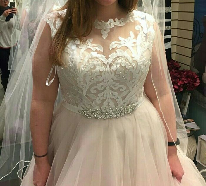 Which dress cap sleeve or ball gown? Vintage romance theme.