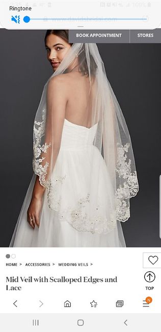 Let me see your veils!! 13