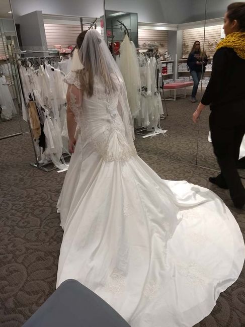 Let me see your veils!! 14