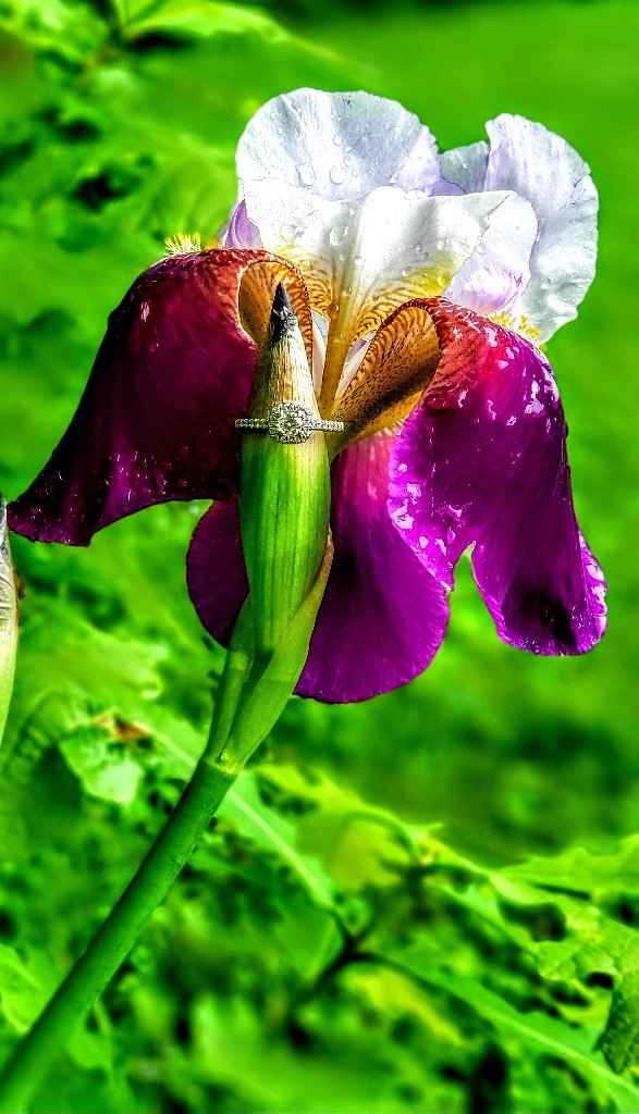 When did it become real for you? Where are you in your planning? - 3