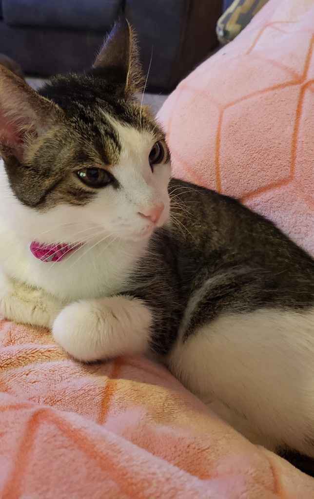 When did it become real for you? Where are you in your planning? - 4