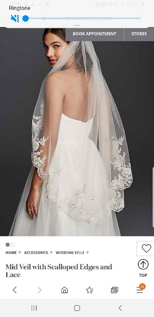 Let me see your veils!! - 2