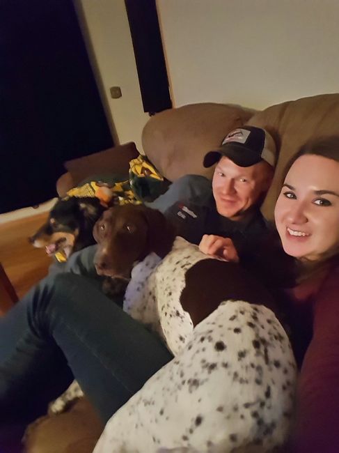 Any pet related stories? - 1