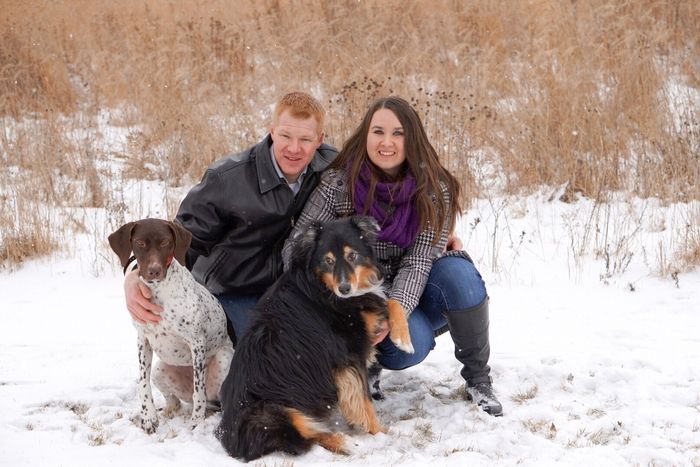 Dog engagement pictures - 2