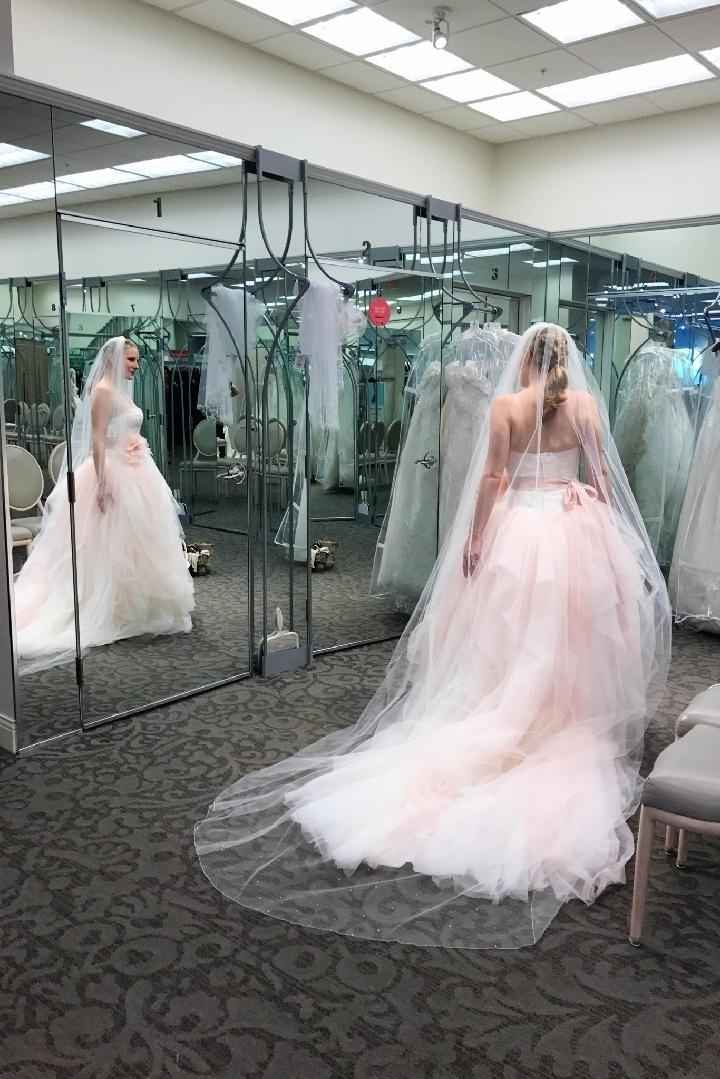Veils - 1