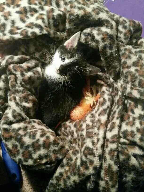 NWR Our newest addition to the family