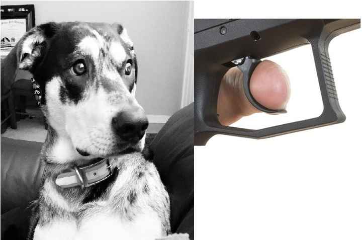 NWR: Pet Owners...Can we play a fun game? :D