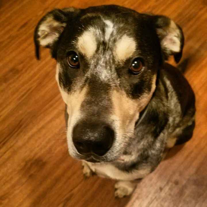 NWR- let me see your fur babies, awake and scared