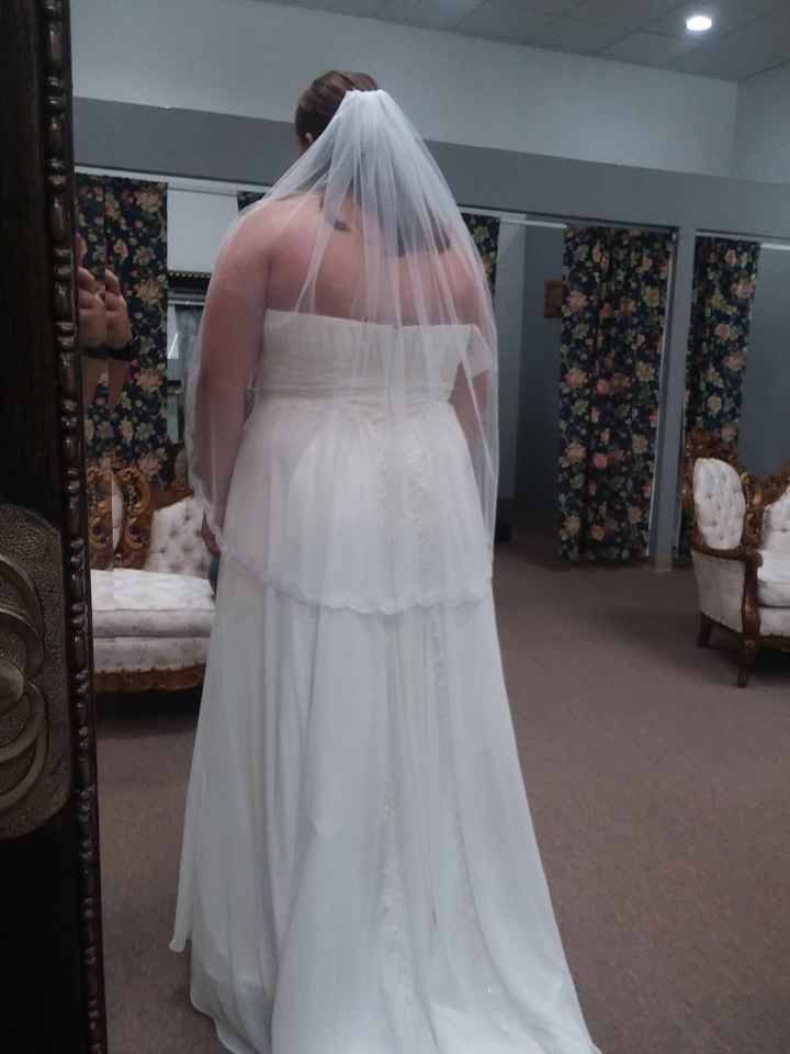 Veil or no veil? - 3