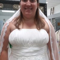 Veil or no veil? - 2