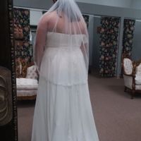 Veil or no veil? - 3