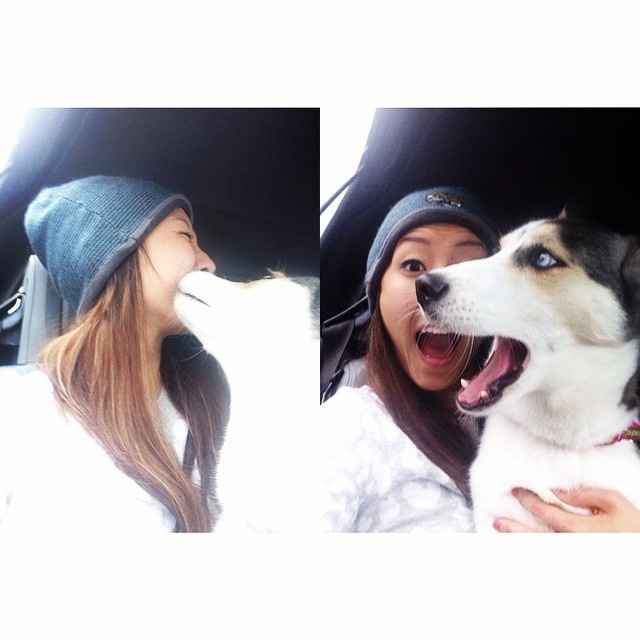 Why do I love my dog so much?