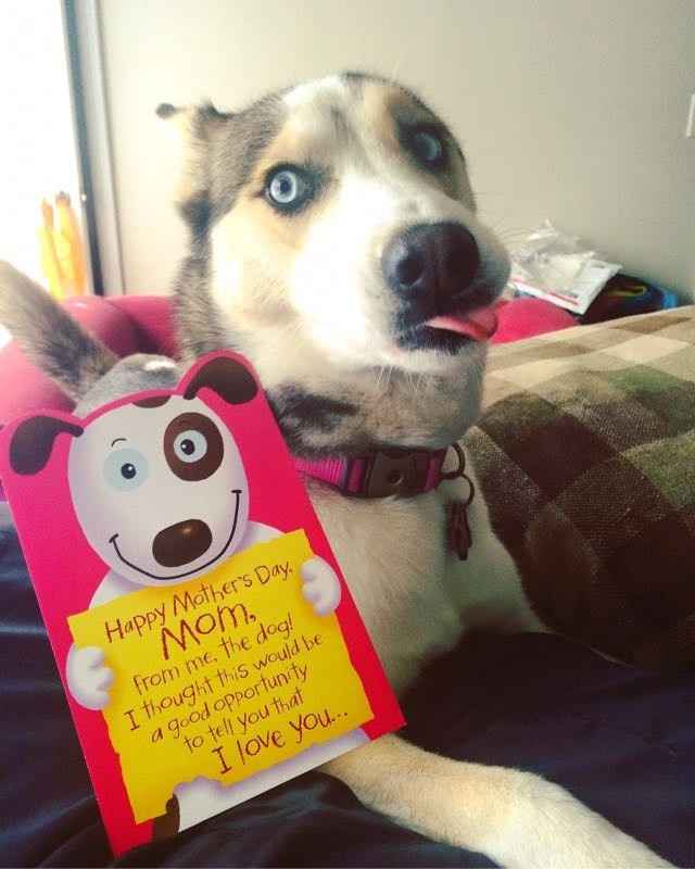 Technically I'm a mom too! Lol