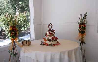 Photos! Danie and Jon, 10-10-10  Bride and Groom.  got our photos!