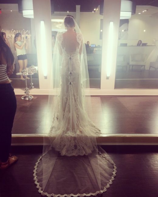 Show Me Your Veil!