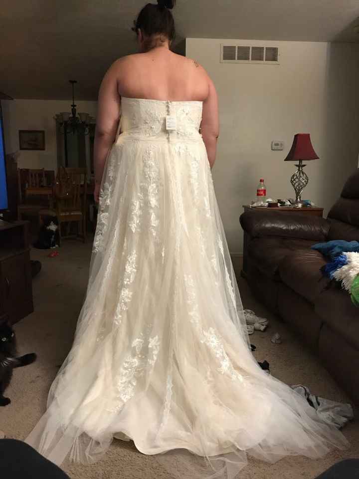 Veil or no veil? - 4