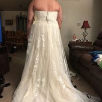 Veil or no veil? - 4