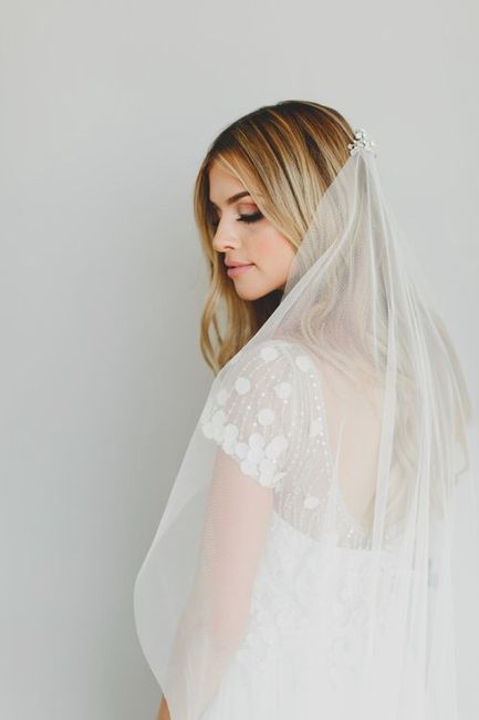 Veil or no veil - 1