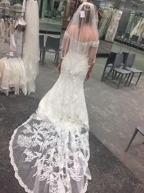 Mermaid/trumpet wedding gowns! - 1