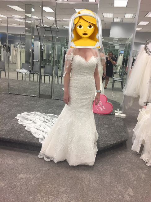 Dresses from David’s Bridal - 2