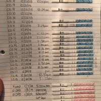 How i got pregnant fast - 3