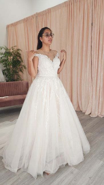 Dress Rejects: Saying No To The Dress! 6