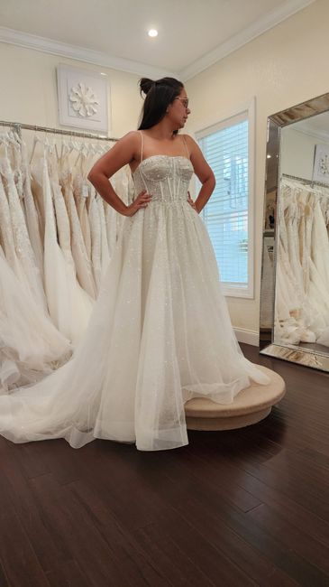 Dress Rejects: Saying No To The Dress! 14