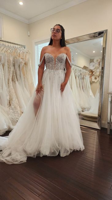 Dress Rejects: Saying No To The Dress! 15