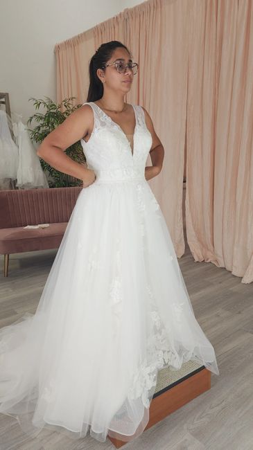 Dress Rejects: Saying No To The Dress! 3